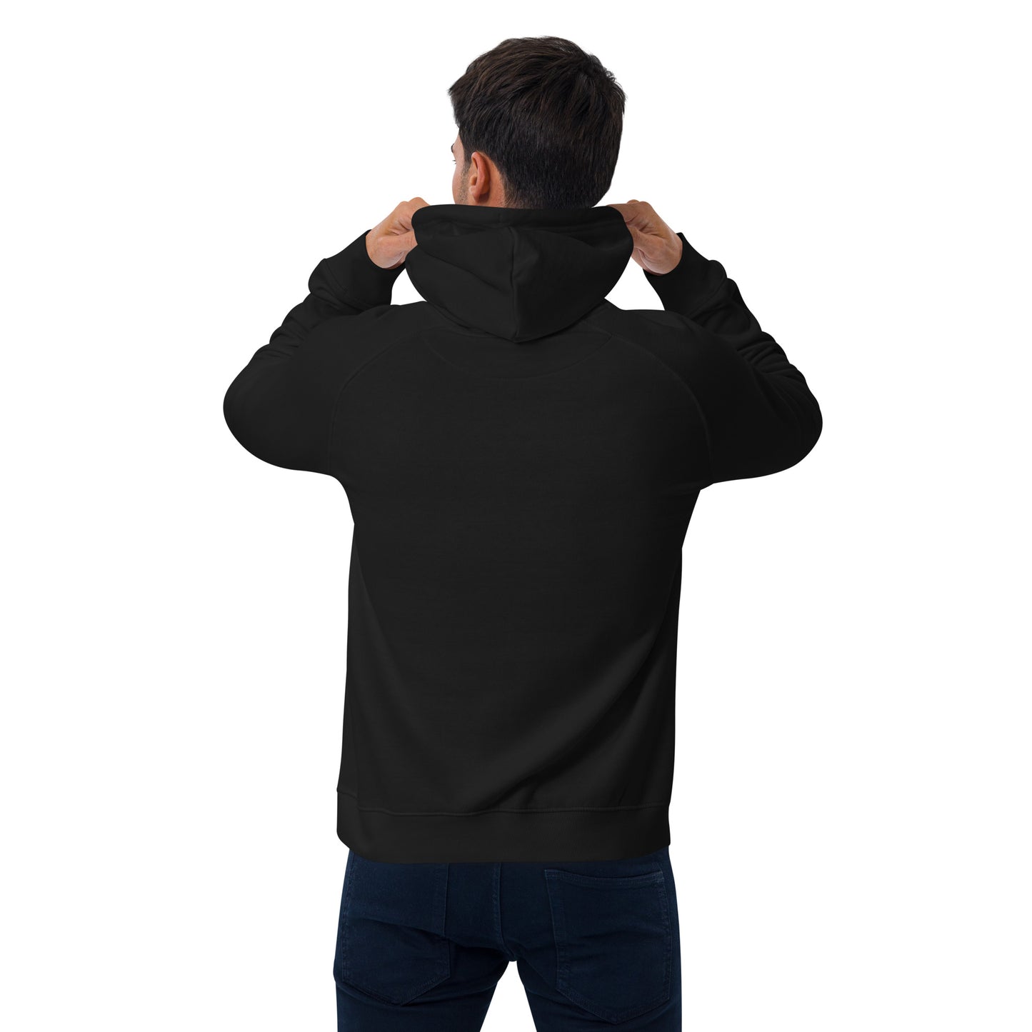 THEERA LLC Unisex eco raglan hoodie